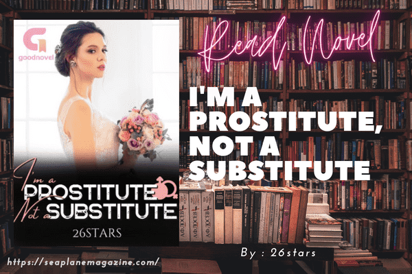 I'm a Prostitute, Not a Substitute Novel