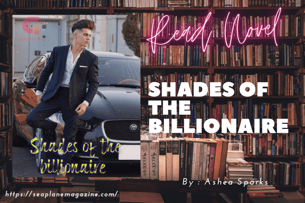 Shades Of The Billionaire Novel