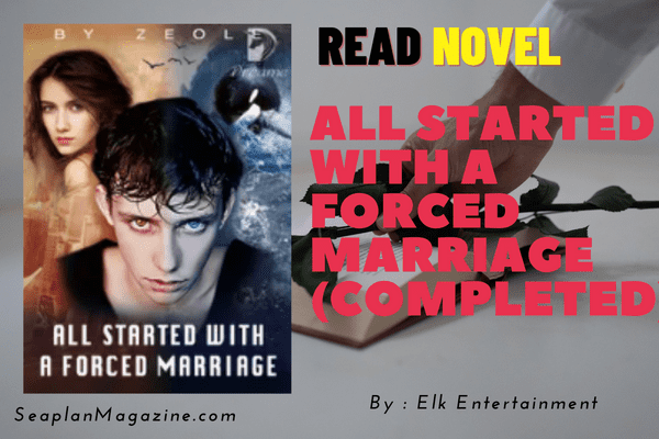 All Started With A Forced Marriage (Completed) Novel