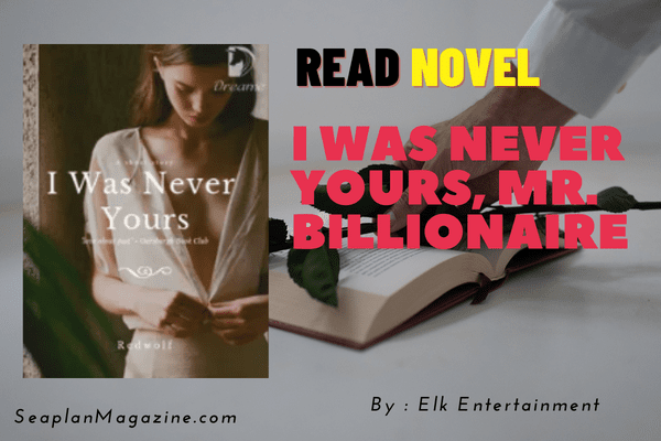 I Was Never Yours, Mr. Billionaire Novel