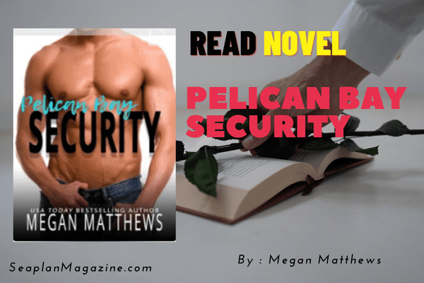 Pelican Bay Security Novel