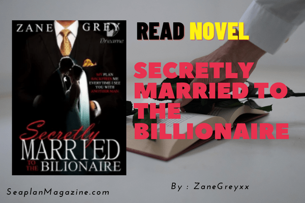 Secretly Married to the Billionaire Novel