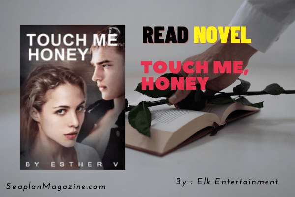 Touch Me, Honey Novel