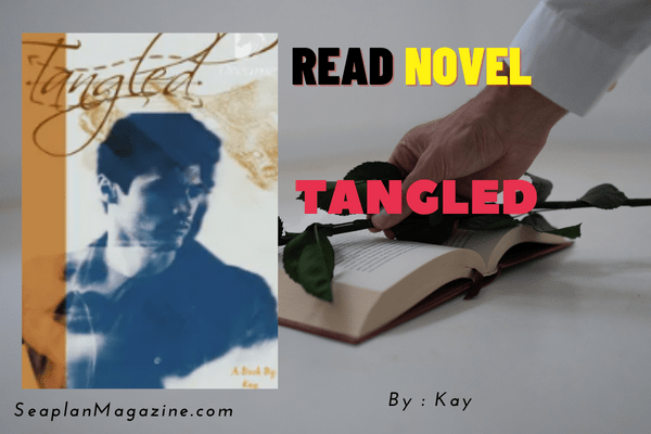 Tangled Novel