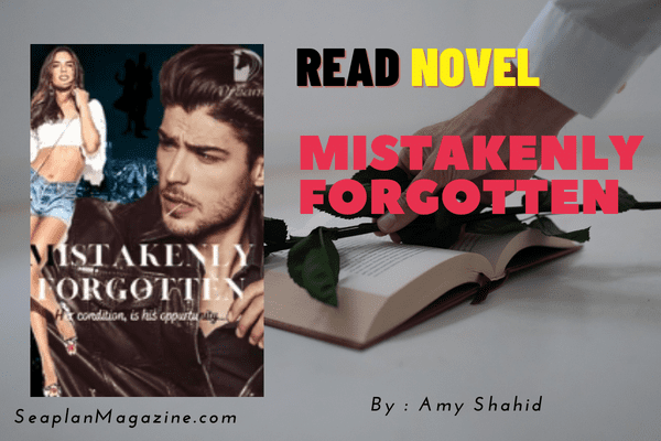Mistakenly Forgotten Novel