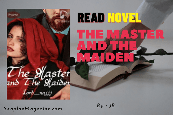 The Master and The Maiden Novel