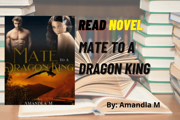 Mate to a Dragon King Novel