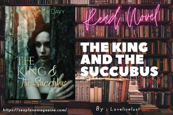 The King And The Succubus Novel