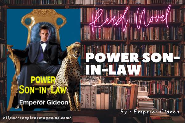 Power Son-in-law Novel