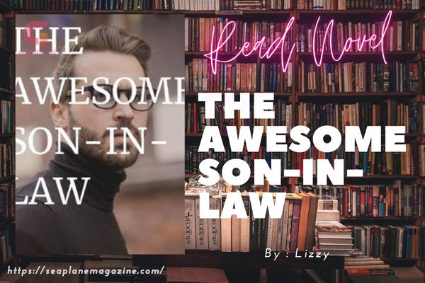 THE AWESOME SON-IN-LAW Novel