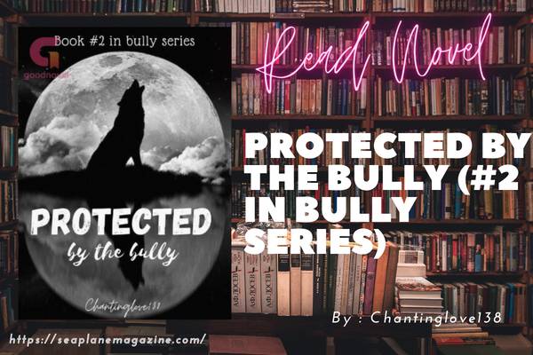 Protected by the bully (#2 in Bully Series) Novel