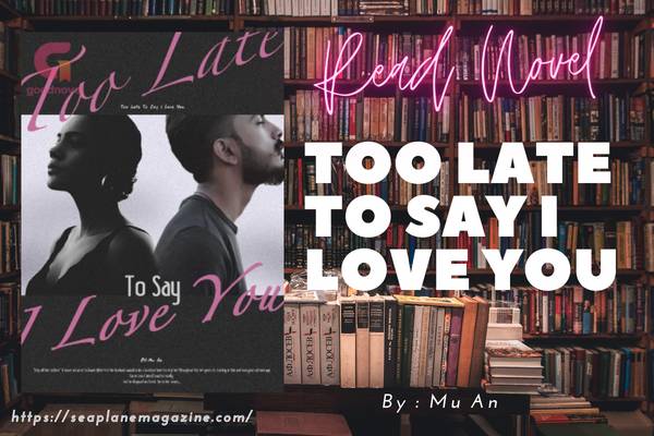 Too Late To Say I Love You Novel