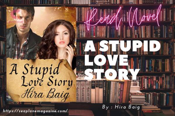 A Stupid Love Story Novel