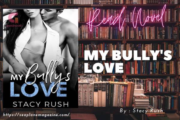 My Bully's Love Novel