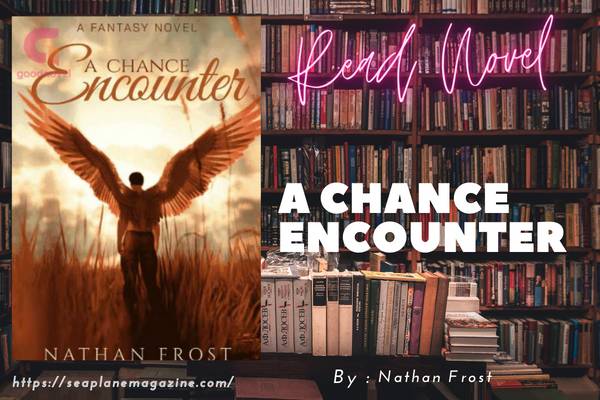 A Chance Encounter Novel