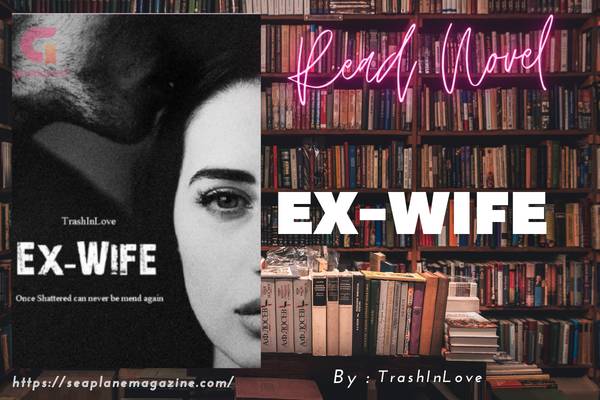 Ex-wife Novel