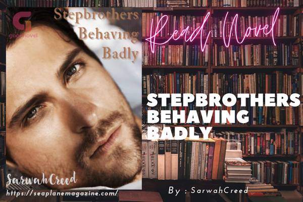 Stepbrothers Behaving Badly Novel