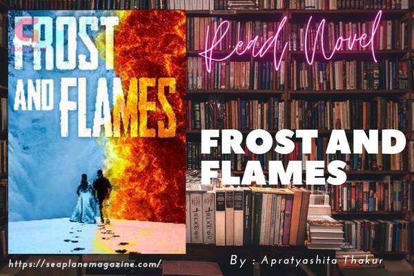 FROST and FLAMES Novel