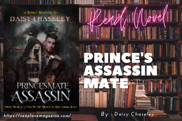 Prince's Assassin Mate Novel