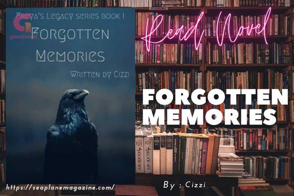 Forgotten memories Novel