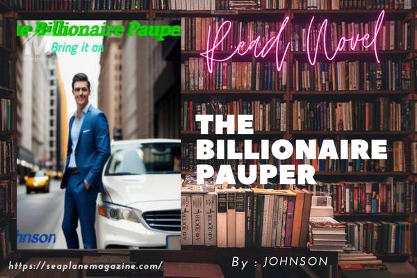 The Billionaire Pauper Novel