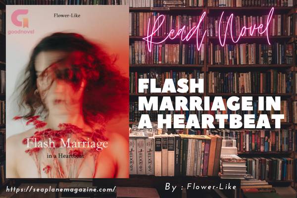 Flash Marriage in a Heartbeat Novel