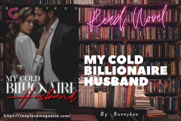 My Cold Billionaire Husband Novel