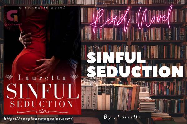 Sinful Seduction Novel