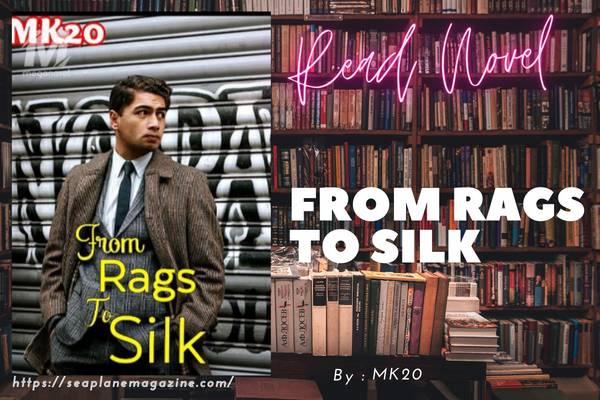 From Rags To Silk Novel
