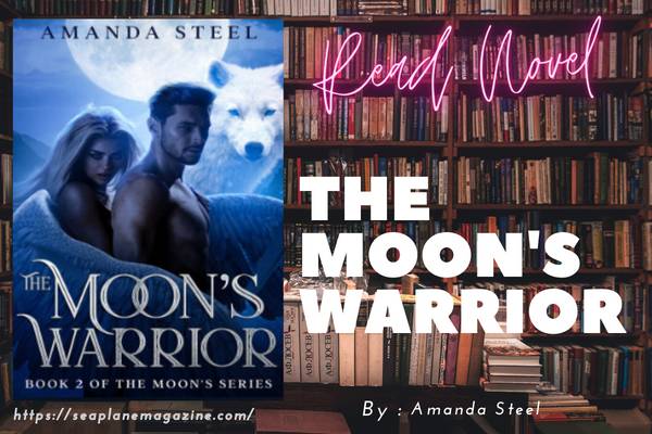 The Moon's Warrior Novel