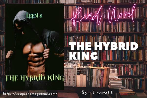 The Hybrid King Novel