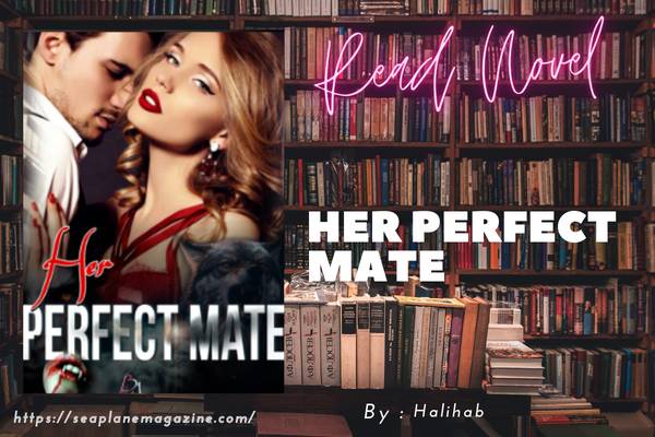 Her Perfect Mate Novel