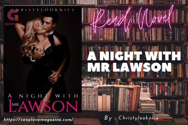 A Night With Mr Lawson Novel