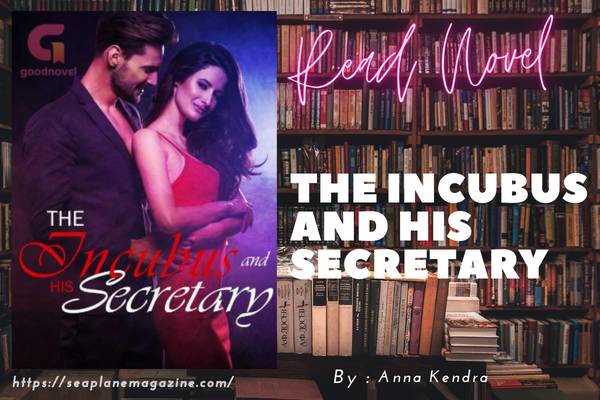 The Incubus and His Secretary Novel