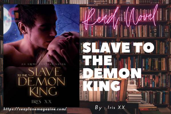 Slave To The Demon King Novel