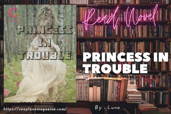 Read Princess In Trouble Novel Full Episode
