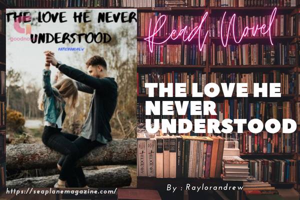 The Love He Never Understood Novel