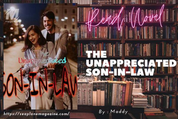 The Unappreciated Son-In-Law Novel