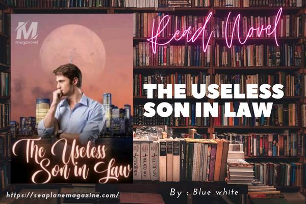 The Useless Son In Law Novel