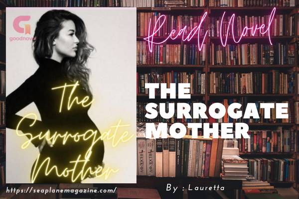 The Surrogate Mother Novel