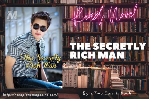 The Secretly Rich Man Novel