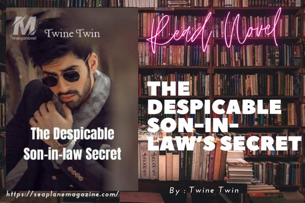 The Despicable Son-In-Law’s Secret Novel