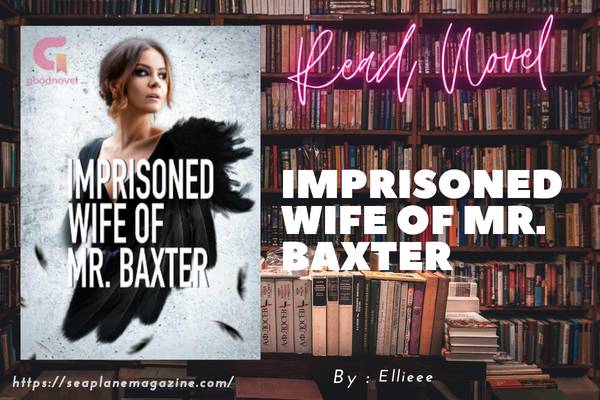 Imprisoned Wife of Mr. Baxter Novel