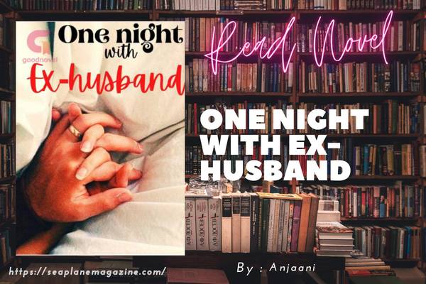 Read One night with Ex-Husband Novel Full Episode
