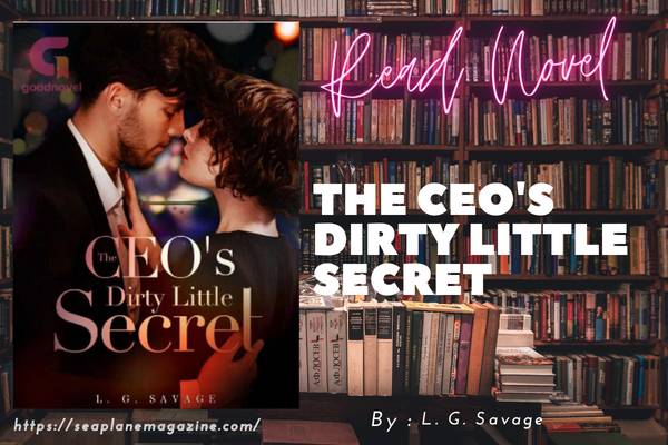The CEO's Dirty Little Secret Novel