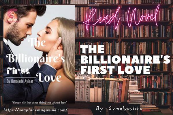 The Billionaire's First Love Novel