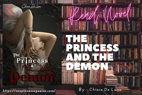 The Princess And The Demon Novel