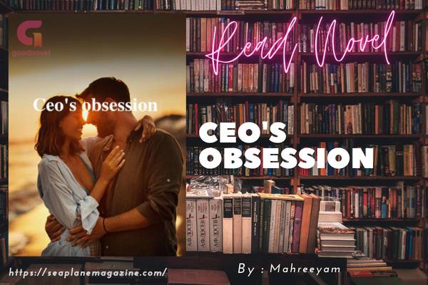Ceo's obsession Novel