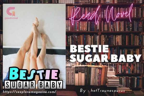 Bestie Sugar Baby Novel