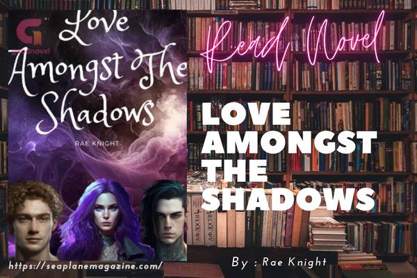 Love Amongst The Shadows Novel
